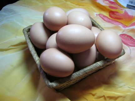 Елена Моисеенко:  Яйцо куриное, домашнее, деревенское