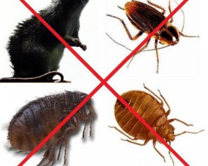 Мастер:  Уничтожение тараканов,клопов,муравьев и др.вредите