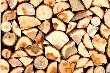 Дмитрий:  Продам дрова
