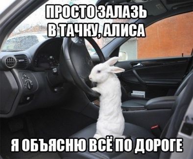 Алые паруса центр развития ребенка частный детский сад в гмр краснодар