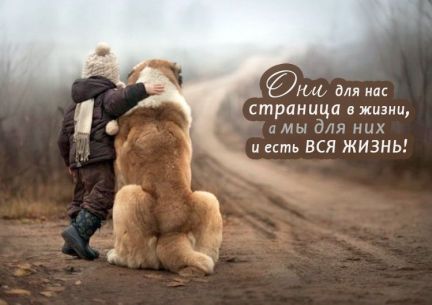 Прививка на дому петербург