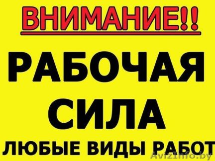 Разнорабочие,грузчики.Без посредников