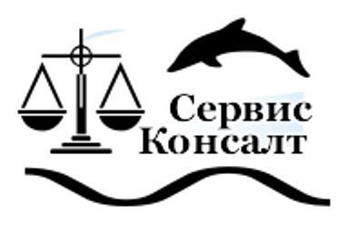 Сервис 20. Юридические услуги судебное представительство.