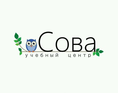 Учебный центр сова. Центр сова. аналитический центр сова.