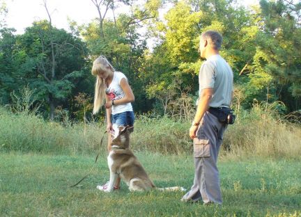 Виктор Фаворит:  Воспитание, обучение и дрессировка собак