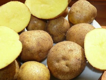 Куплю мелкий картофель на корм скоту в брянске Куплю мелкий картофель на корм скоту в брянске thumbnail