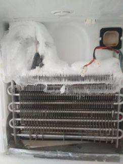 Антон Иванович:  Ремонт морозильных камер ремонт холодильников