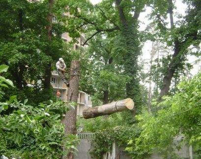 Сергей Николаевич:  Спил деревьев,расчистка участка,слом,вывоз