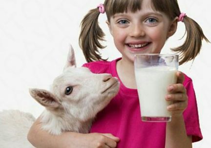 Молоко козье