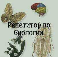 Репетитор по биологии. Биология: репетитор. Репетитор по биологии картинки. Репетитор биологии картинка. Репетитор по биологии реклама.