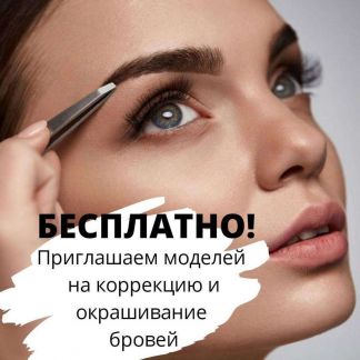 Какие цены на коррекцию и покраску бровей