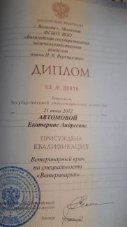 Прививки на дому санкт петербург