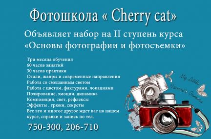 Курсы мурманск