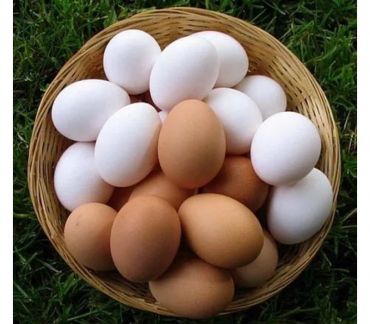 Наталья Денисенко:  Яйца куриные