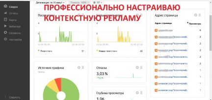 Александр Курков:  Настройка рекламы Яндекс директ и Google Adwords
