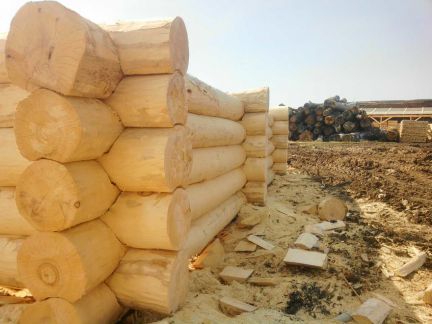 Построить баню в димитровграде