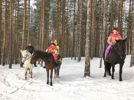 Конно сказочный Хутор Токсово