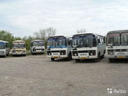 Автобус вольск. Вольск автовокзал. Автобус из Вольска. Автобус Вольск 4.