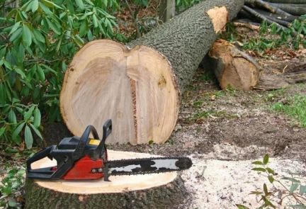 Построить туалет в севастополе