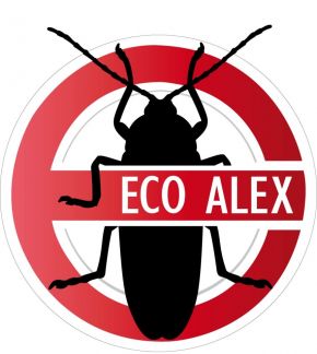 Александр:  Санобработка от тараканов клопов