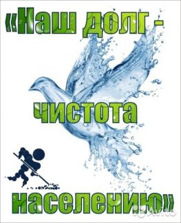 Кто и где в костроме стирал ковры