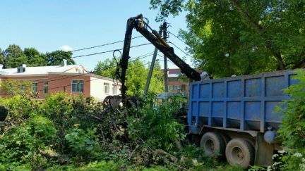 ТулаСпецТехника:  Спиливание и кронирование деревьев