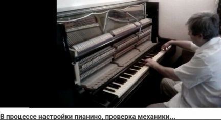 Виктор:  Настройка, пианино, роялей, ремонт механики
