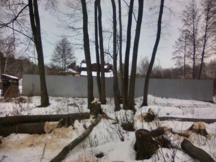 Николай:  Спиливание деревьев, расчистка участков