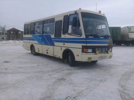 Автобусы чайковский. Автобус 2к Чайковский. Чайковский транспорт. Пермь Чайковский фото автобуса. Автобусы Чайковский по частные.