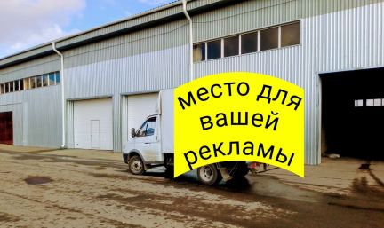 Газель бийск