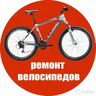 Антон:  Ремонт велосипедов и попутное обучение