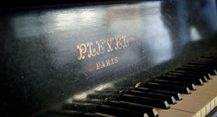 василий:  Настройщик пианино,роялей