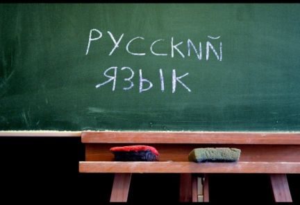 Алексин развитие для ребенка
