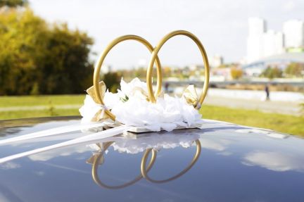 Как крепятся свадебные кольца на крышу машины пошагово