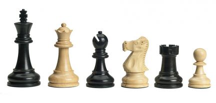 Александр:  Уроки шахмат