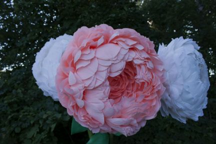 Ростовые цветы, изготовление декора, оформление: с