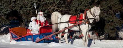 Алексей:  Дед Мороз поздравит Ваших друзей и родных в Кирове