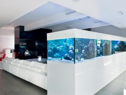 lhlg:  Обслуживание аквариумов
