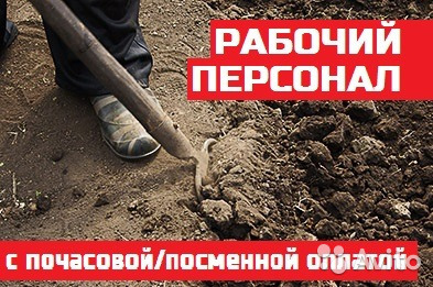 Построить туалет для дачи томск