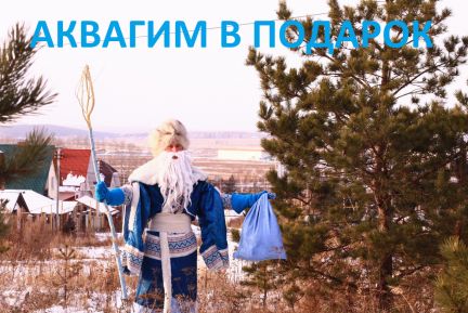 Сергей:  Дед Мороз и Снегурочка. Вызов на дом
