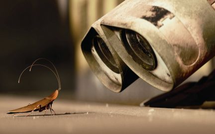 Построить туалет в севастополе