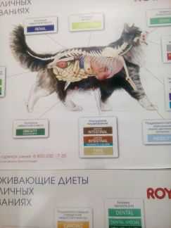 Прививки на дому пермь