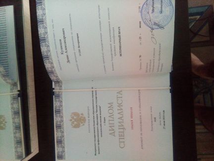 Прививки на дому пермь