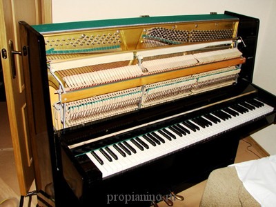  Настройка и ремонт пианино, фортепиано и роялей