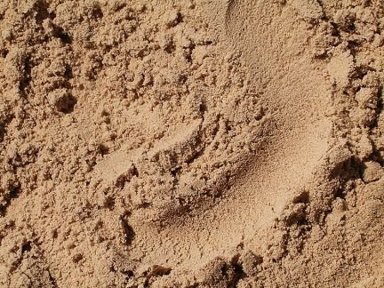 СОБСТВЕННИК:  Песок