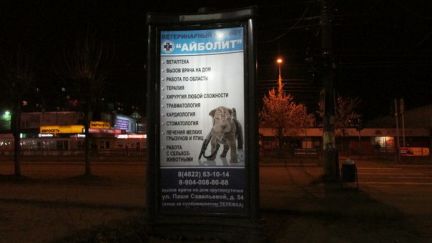 Прививки собакам на дому в твери