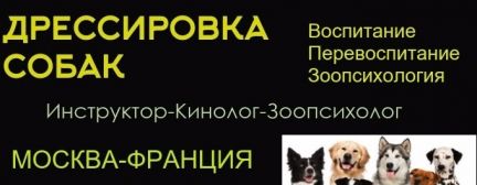 Дрессировщик собак всех пород