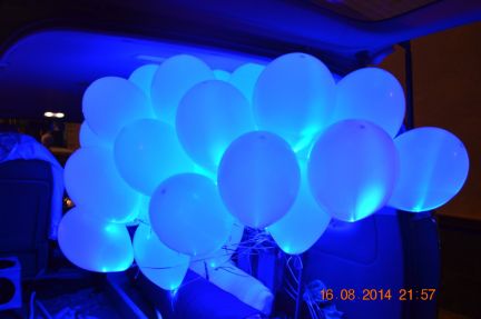 Александр:  Светящиеся шары-Фигуры из шаров-Оформление свадеб