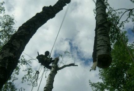Константин:  Спилить Удалить Срубить дерево в Михнево