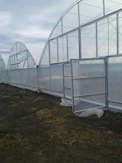 Построить дом выселки краснодарского края